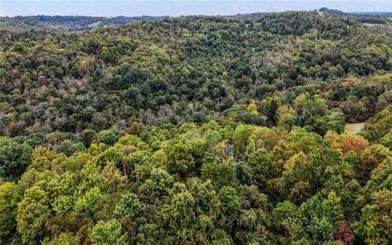 00 Blockhouse Run Rd, Claysville, 15323, ,Farm-acreage-lot,For Sale,Blockhouse Run Rd,1777533