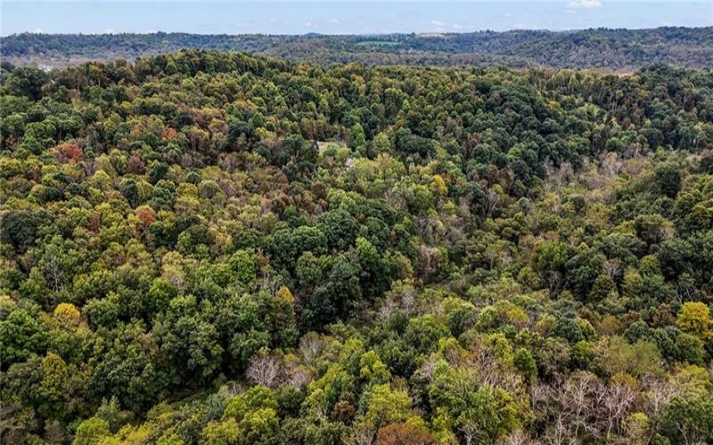 00 Blockhouse Run Rd, Claysville, 15323, ,Farm-acreage-lot,For Sale,Blockhouse Run Rd,1777533
