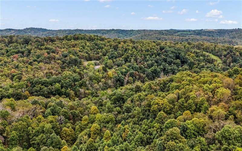 00 Blockhouse Run Rd, Claysville, 15323, ,Farm-acreage-lot,For Sale,Blockhouse Run Rd,1777533