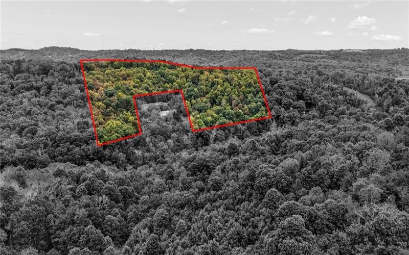 00 Blockhouse Run Rd, Claysville, 15323, ,Farm-acreage-lot,For Sale,Blockhouse Run Rd,1777533