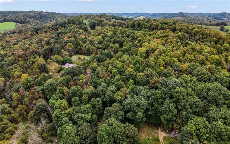 00 Blockhouse Run Rd, Claysville, 15323, ,Farm-acreage-lot,For Sale,Blockhouse Run Rd,1777533