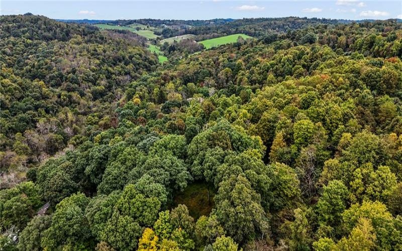 00 Blockhouse Run Rd, Claysville, 15323, ,Farm-acreage-lot,For Sale,Blockhouse Run Rd,1777533