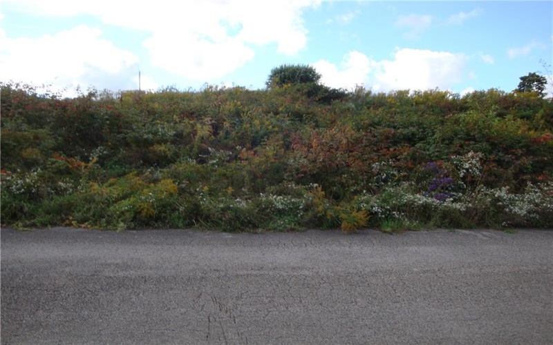 lot#3 Grandview Drive, New Derry, Pa., 15671, ,Farm-acreage-lot,For Sale,none,Grandview Drive,1777558