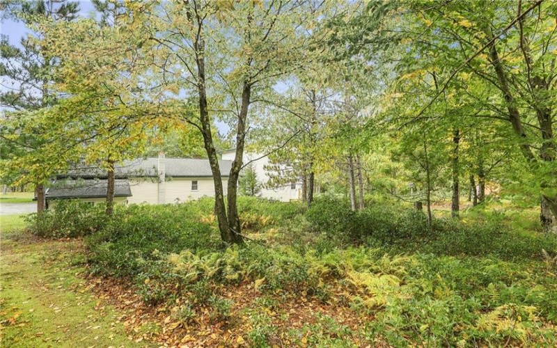 162 White Pine Lane, Cairnbrook, 15924, 3 Bedroom Bedrooms, ,2 BathroomBathrooms,Residential,For Sale,White Pine Lane,1777750