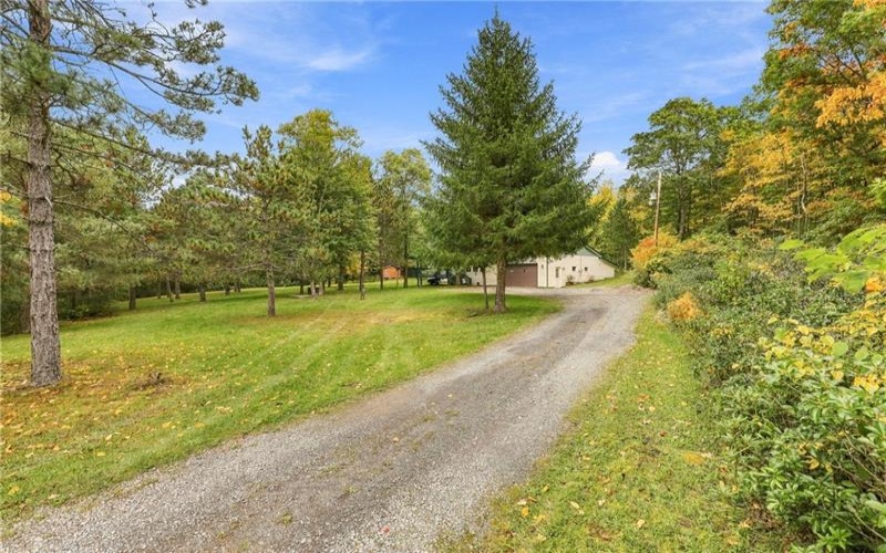 162 White Pine Lane, Cairnbrook, 15924, 3 Bedroom Bedrooms, ,2 BathroomBathrooms,Residential,For Sale,White Pine Lane,1777750