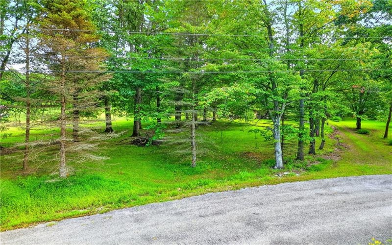 Lot# 11A Hemlock Way, Washington, 15301, ,Farm-acreage-lot,For Sale,Hemlock Way,1777499