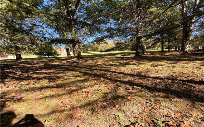 Lot# 11A Hemlock Way, Washington, 15301, ,Farm-acreage-lot,For Sale,Hemlock Way,1777499