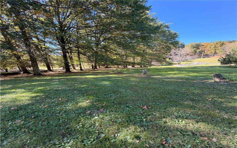 Lot# 11A Hemlock Way, Washington, 15301, ,Farm-acreage-lot,For Sale,Hemlock Way,1777499