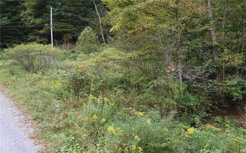 999 Beaver Ck Rd, Markleysburg, 15459, ,Farm-acreage-lot,For Sale,Beaver Ck Rd,1778414