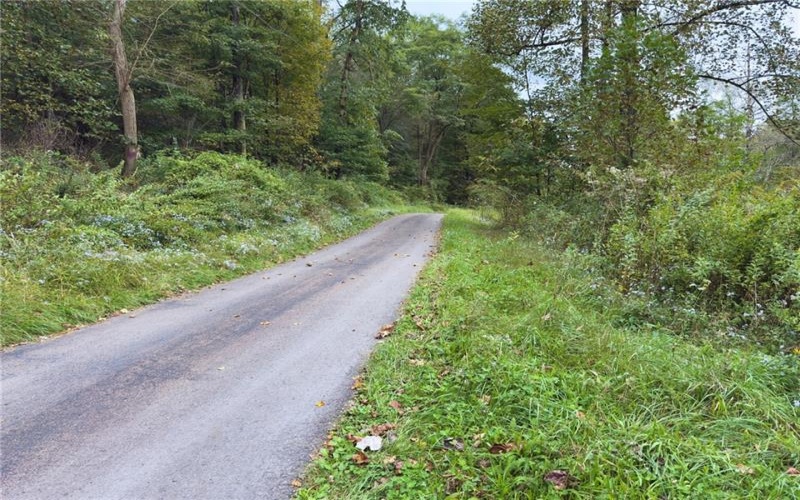 999 Beaver Ck Rd, Markleysburg, 15459, ,Farm-acreage-lot,For Sale,Beaver Ck Rd,1778414