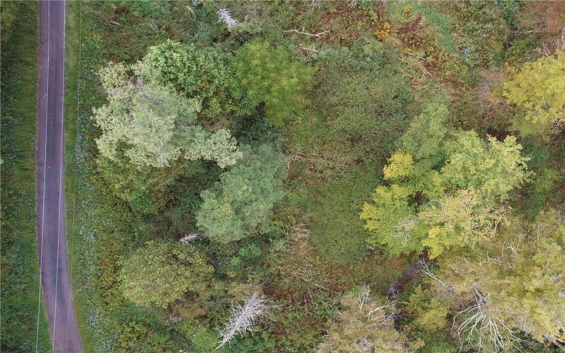 999 Beaver Ck Rd, Markleysburg, 15459, ,Farm-acreage-lot,For Sale,Beaver Ck Rd,1778414