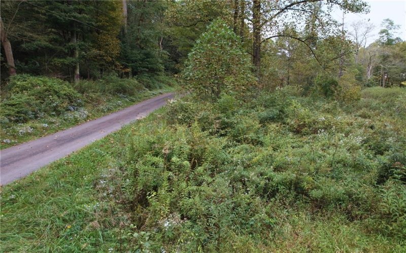 999 Beaver Ck Rd, Markleysburg, 15459, ,Farm-acreage-lot,For Sale,Beaver Ck Rd,1778414