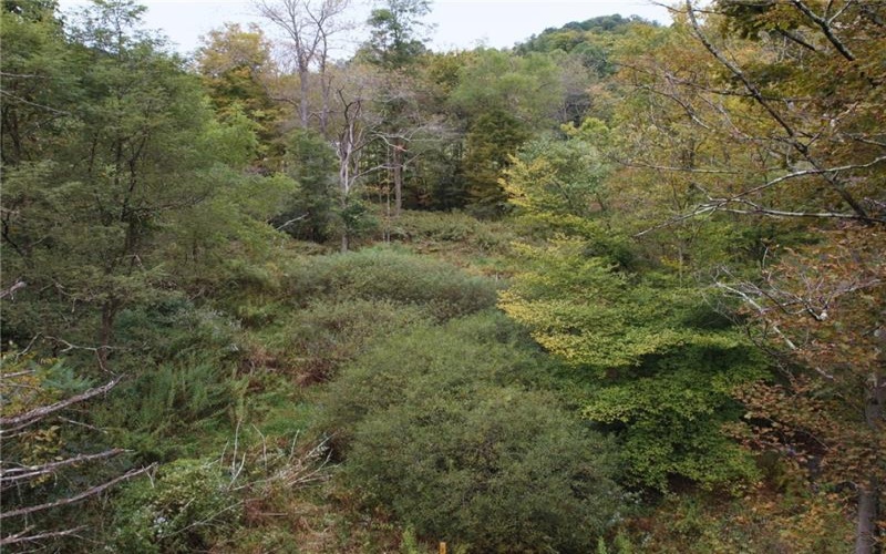 999 Beaver Ck Rd, Markleysburg, 15459, ,Farm-acreage-lot,For Sale,Beaver Ck Rd,1778414