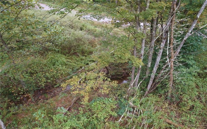 999 Beaver Ck Rd, Markleysburg, 15459, ,Farm-acreage-lot,For Sale,Beaver Ck Rd,1778414