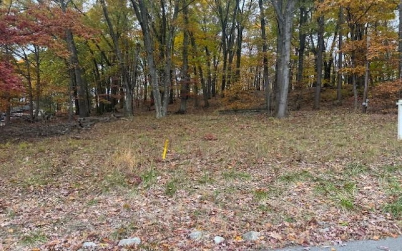 310 Highland Dr, Brownsville, 15417, ,Farm-acreage-lot,For Sale,Highland Dr,1778468