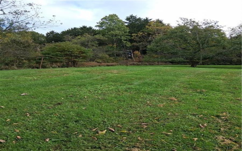 22 Verner Ave, Bulger, 15019, ,Multi-unit,For Sale,Verner Ave,1778998