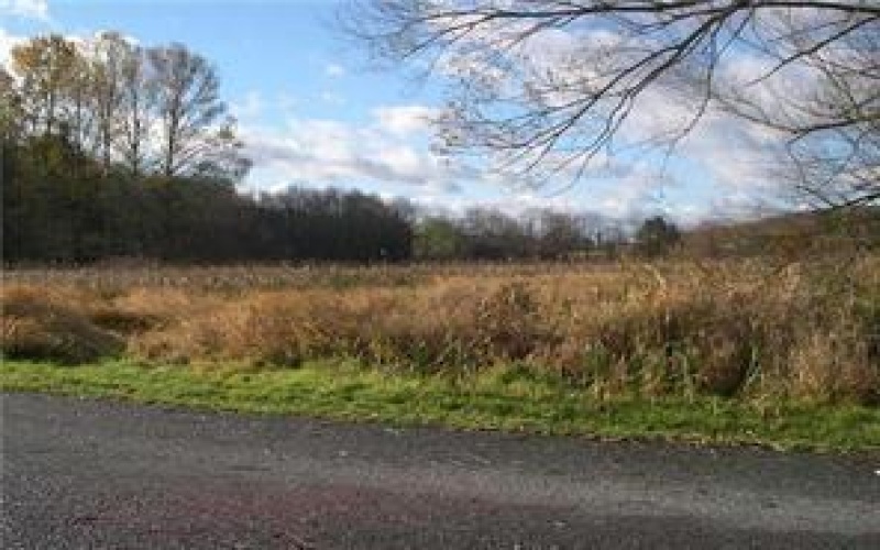 Lot 36-39 Baton Road, Ligonier, 15658, ,Farm-acreage-lot,For Sale,Baton Road,1779533